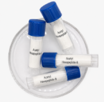 Acetyl Hexapeptide-8 (raw)